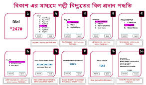 পল্লী বিদ্যুৎ সংযোগ