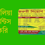 আশুলিয়া গার্মেন্টস চাকরি
