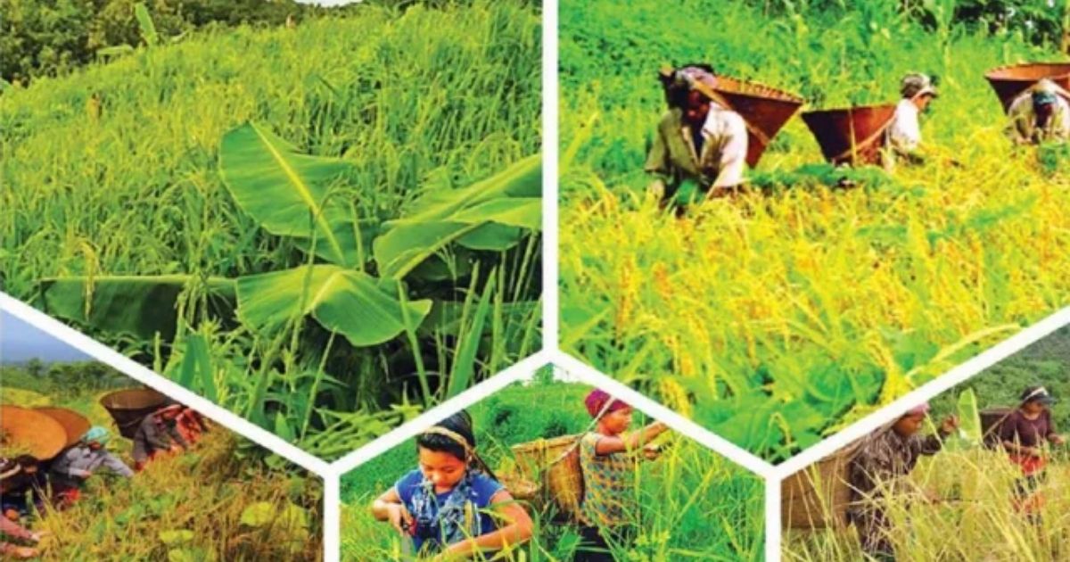 কৃষি মন্ত্রণালয়