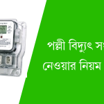 পল্লী বিদ্যুৎ সংযোগ