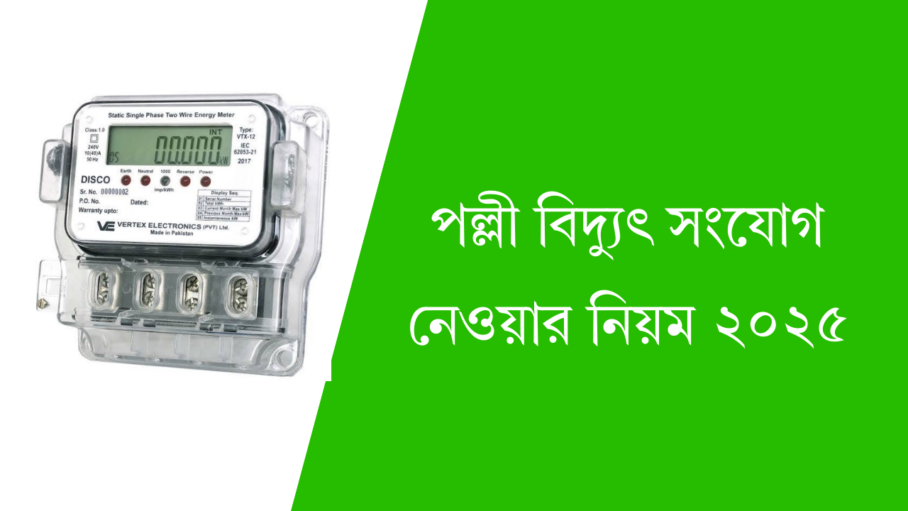 পল্লী বিদ্যুৎ সংযোগ