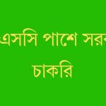 এসএসসি পাশে সরকারি চাকরি